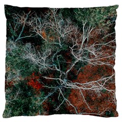 Aerial Photography Of Green Leafed Tree Large Flano Cushion Case (one Side) by Pakrebo