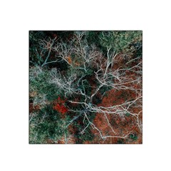 Aerial Photography Of Green Leafed Tree Satin Bandana Scarf by Pakrebo