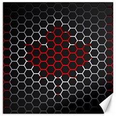 Canada Flag Hexagon Canvas 16  X 16 