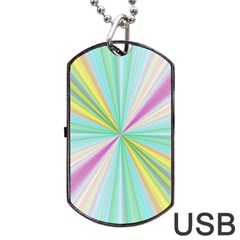 Background Burst Abstract Color Dog Tag Usb Flash (two Sides)