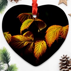 Nature Yellow Plant Leaves Ornament (Heart)