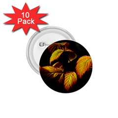 Nature Yellow Plant Leaves 1 75  Buttons (10 Pack) by Pakrebo