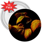 Nature Yellow Plant Leaves 3  Buttons (10 pack)  Front