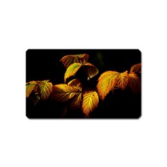 Nature Yellow Plant Leaves Magnet (name Card) by Pakrebo