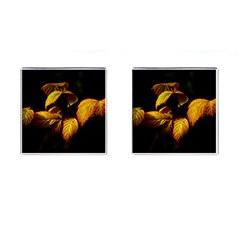 Nature Yellow Plant Leaves Cufflinks (Square)