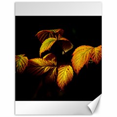 Nature Yellow Plant Leaves Canvas 12  x 16 