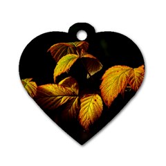 Nature Yellow Plant Leaves Dog Tag Heart (Two Sides)