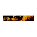 Nature Yellow Plant Leaves Flano Scarf (Mini) Front