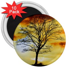 Branches Dawn Dusk Fall 3  Magnets (10 Pack)  by Pakrebo