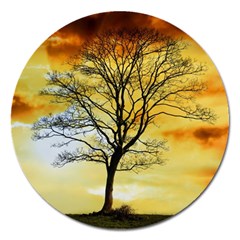 Branches Dawn Dusk Fall Magnet 5  (round) by Pakrebo