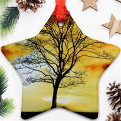 Branches Dawn Dusk Fall Star Ornament (two Sides) by Pakrebo