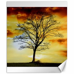 Branches Dawn Dusk Fall Canvas 20  X 24  by Pakrebo