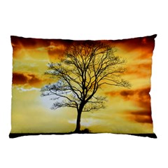 Branches Dawn Dusk Fall Pillow Case by Pakrebo