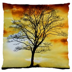 Branches Dawn Dusk Fall Large Cushion Case (two Sides) by Pakrebo