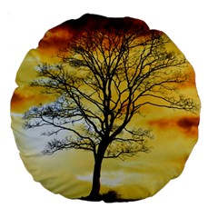 Branches Dawn Dusk Fall Large 18  Premium Round Cushions by Pakrebo