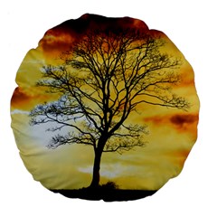 Branches Dawn Dusk Fall Large 18  Premium Flano Round Cushions by Pakrebo