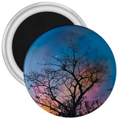 Low Angle Photography Of Bare Tree 3  Magnets by Pakrebo