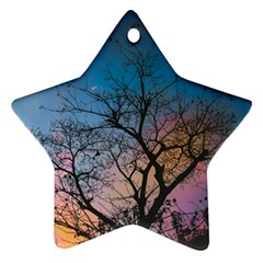 Low Angle Photography Of Bare Tree Ornament (star) by Pakrebo