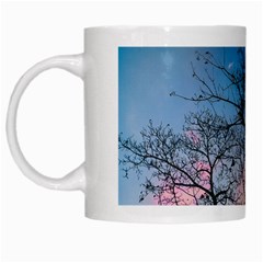 Low Angle Photography Of Bare Tree White Mugs by Pakrebo