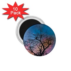 Low Angle Photography Of Bare Tree 1 75  Magnets (10 Pack)  by Pakrebo