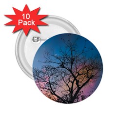 Low Angle Photography Of Bare Tree 2 25  Buttons (10 Pack)  by Pakrebo