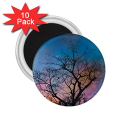 Low Angle Photography Of Bare Tree 2 25  Magnets (10 Pack)  by Pakrebo