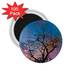 Low Angle Photography Of Bare Tree 2 25  Magnets (100 Pack)  by Pakrebo