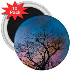 Low Angle Photography Of Bare Tree 3  Magnets (10 Pack)  by Pakrebo