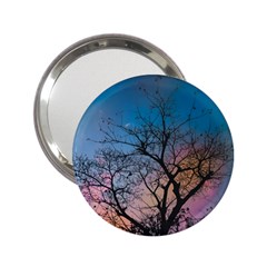 Low Angle Photography Of Bare Tree 2 25  Handbag Mirrors by Pakrebo