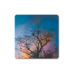 Low Angle Photography Of Bare Tree Square Magnet by Pakrebo