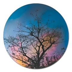 Low Angle Photography Of Bare Tree Magnet 5  (round) by Pakrebo