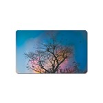 Low Angle Photography Of Bare Tree Magnet (Name Card) Front