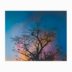 Low Angle Photography Of Bare Tree Small Glasses Cloth by Pakrebo