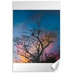 Low Angle Photography Of Bare Tree Canvas 24  X 36  by Pakrebo