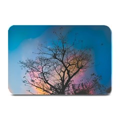 Low Angle Photography Of Bare Tree Plate Mats by Pakrebo