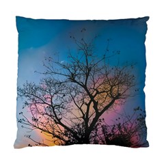 Low Angle Photography Of Bare Tree Standard Cushion Case (one Side) by Pakrebo