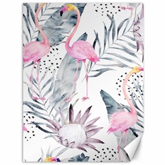 Tropical Flamingos Canvas 36  X 48  by Sobalvarro