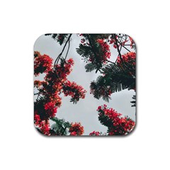 Red Petaled Flowers Rubber Coaster (square)  by Pakrebo