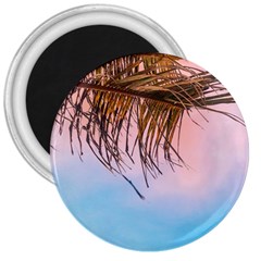 Two Green Palm Leaves On Low Angle Photo 3  Magnets by Pakrebo