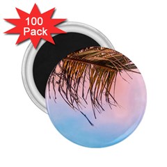 Two Green Palm Leaves On Low Angle Photo 2 25  Magnets (100 Pack)  by Pakrebo