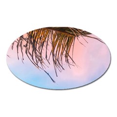 Two Green Palm Leaves On Low Angle Photo Oval Magnet by Pakrebo