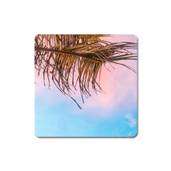 Two Green Palm Leaves On Low Angle Photo Square Magnet by Pakrebo