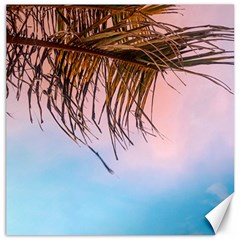 Two Green Palm Leaves On Low Angle Photo Canvas 12  X 12  by Pakrebo