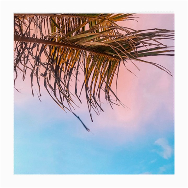 Two Green Palm Leaves On Low Angle Photo Medium Glasses Cloth