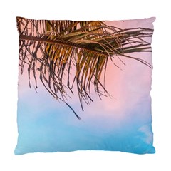 Two Green Palm Leaves On Low Angle Photo Standard Cushion Case (one Side) by Pakrebo