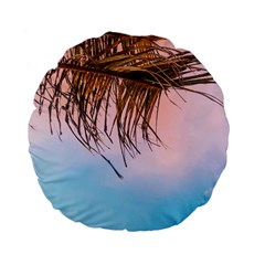 Two Green Palm Leaves On Low Angle Photo Standard 15  Premium Flano Round Cushions by Pakrebo