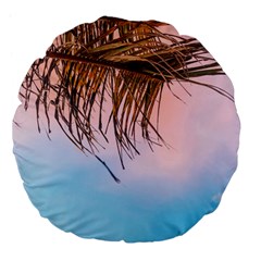 Two Green Palm Leaves On Low Angle Photo Large 18  Premium Flano Round Cushions by Pakrebo