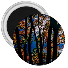 Silhouette Of Trees 3  Magnets by Pakrebo