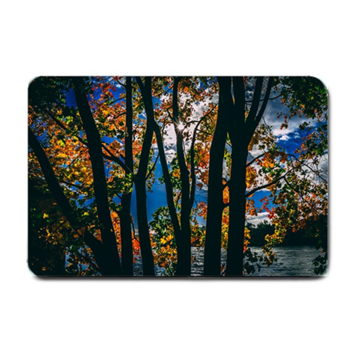 Silhouette Of Trees Small Doormat 