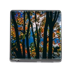 Silhouette Of Trees Memory Card Reader (square 5 Slot) by Pakrebo